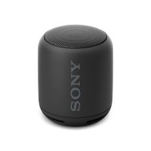 Беспроводная колонка Sony SRS-10, черная