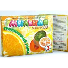 Инновации для детей «Мыльная мастерская. Тропический микс» 744