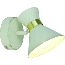 Спот Arte Lamp A1406AP-1WG BALTIMORE