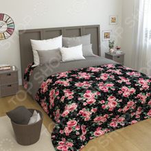 Сирень «Сабрина»