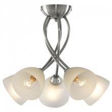 Arte Lamp Потолочная люстра Arte Lamp Nikki A2576PL-5SS ID - 414837