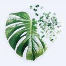 Doiy Паззл Monstera арт. DYPUZZLMO