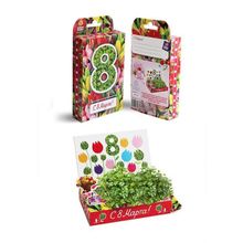 Живая открытка на 8 марта, Тюльпаны