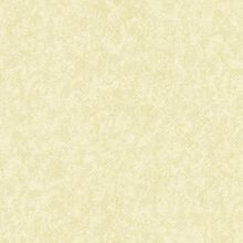 A45603 Обои Grandeco (Dorina) (1*6) 10,05х1,06  винил на флизелине