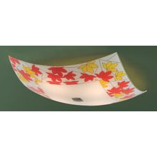 Светильник Потолочный Citilux CL932008