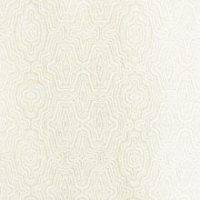 BN International Absolute 82136 BN82136