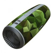 Bluetooth колонка Perfeo CAMU, 12 Вт, MP3 FM AUX, камуфляж (PF_A4979)