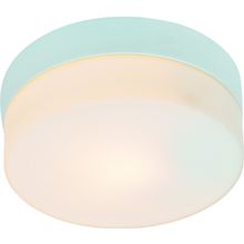 Потолочный светильник Arte Lamp A3211PL-1WH AQUA