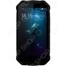 BQ 5033 Shark