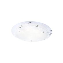 Потолочный светильник Globo Claire 48077-4