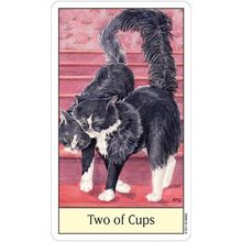 Карты Таро: "Cat`s Eye Tarot" (CAT78)
