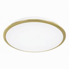 Citilux Старлайт CL70332