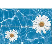 Панно Ceracasa Brazil Deco Bianca (из 2-х плиток) 730х500