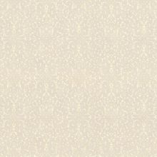 Rasch Maximum XV 959628 959628