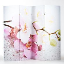 Ширма Орхидеи. Утренняя свежесть, 200 х 160 см