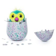 Hatchimals яйцо с сюрпризом Pengualas голубое
