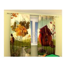 Фотошторы домик из тыквы