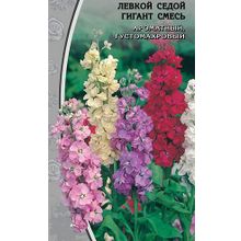 Левкой  Седой Гигант  0,2 гр