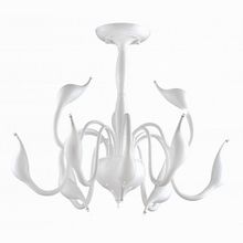 Lightstar Сigno Collo 751026