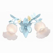 Lucia Tucci Fiori di rose W184.2