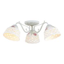 Потолочный светильник Arte Lamp A6616PL-3WG WICKER
