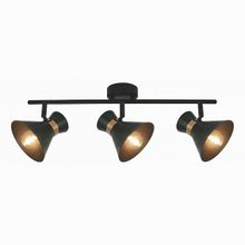 Arte Lamp Baltimore A1406PL-3BK