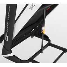 CARBON PREMIUM WORLD RUNNER T1