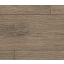 Дуб Ла-Манча дымчатый