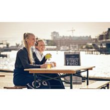 QDO Birdie Swing фиолетовая