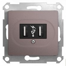 Розетка 2xUSB GLOSSA, платина |  код. GSL001232 |  Schneider Electric