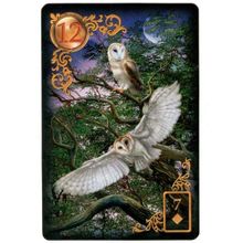 Карты Таро: "Gilded Reverie Lenormand Expanded" (GRE47)