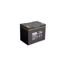 FIAMM FG 28009