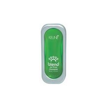 Шампунь контроль, 300 мл.  BLEND DE-FRIZZ SHAMPOO, 300 мл.