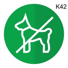 Информационная табличка «Вход с собаками, животными запрещен» пиктограмм К42