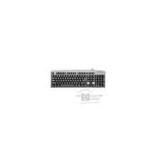 Keyboard Defender Element HB-520 USB G Серый  45523