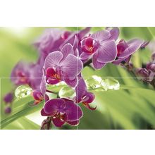 Панно Муза Керамика Thailand P4D235 из 4-х плиток 400х600