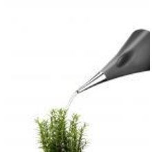 Eva Solo Лейка Aqua Star 2 л серый арт. 568304