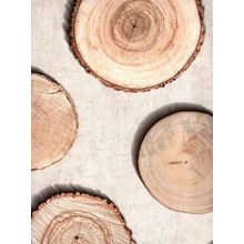 Andrea Rossi Sicily 54206 1 54206 1