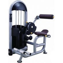 Тренажер "Разгибание спины" Protrain basic 6217