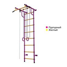 ДСК"Пионер - С2Н" пурпурно жёлтый
