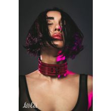 Бордовый ошейник Eccentric (224446)