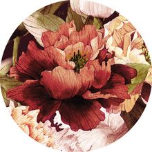 Декор Ceramica Classic Galatia Peony d12 120х120