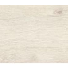 Дуб Кортина белый