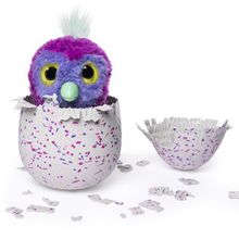 Hatchimals Hatchimals 19100-1 Хетчималс Пингвинчик - интерактивный питомец, вылупляющийся из яйца 19100-1