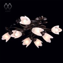 Потолочный светильник MW-Light Аида 323013708
