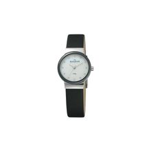 Женские часы Skagen 458SSLB