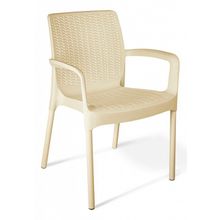 Sheffilton Стул SHT-S68 ID - 326061