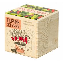 Эко куб для выращивания Перчик жгучий