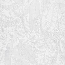 Обои BN Riviera Maison 2 219910 10,05x0,53 винил на флизелине