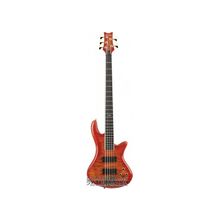 SCHECTER STILETTO ELITE-5 BCH